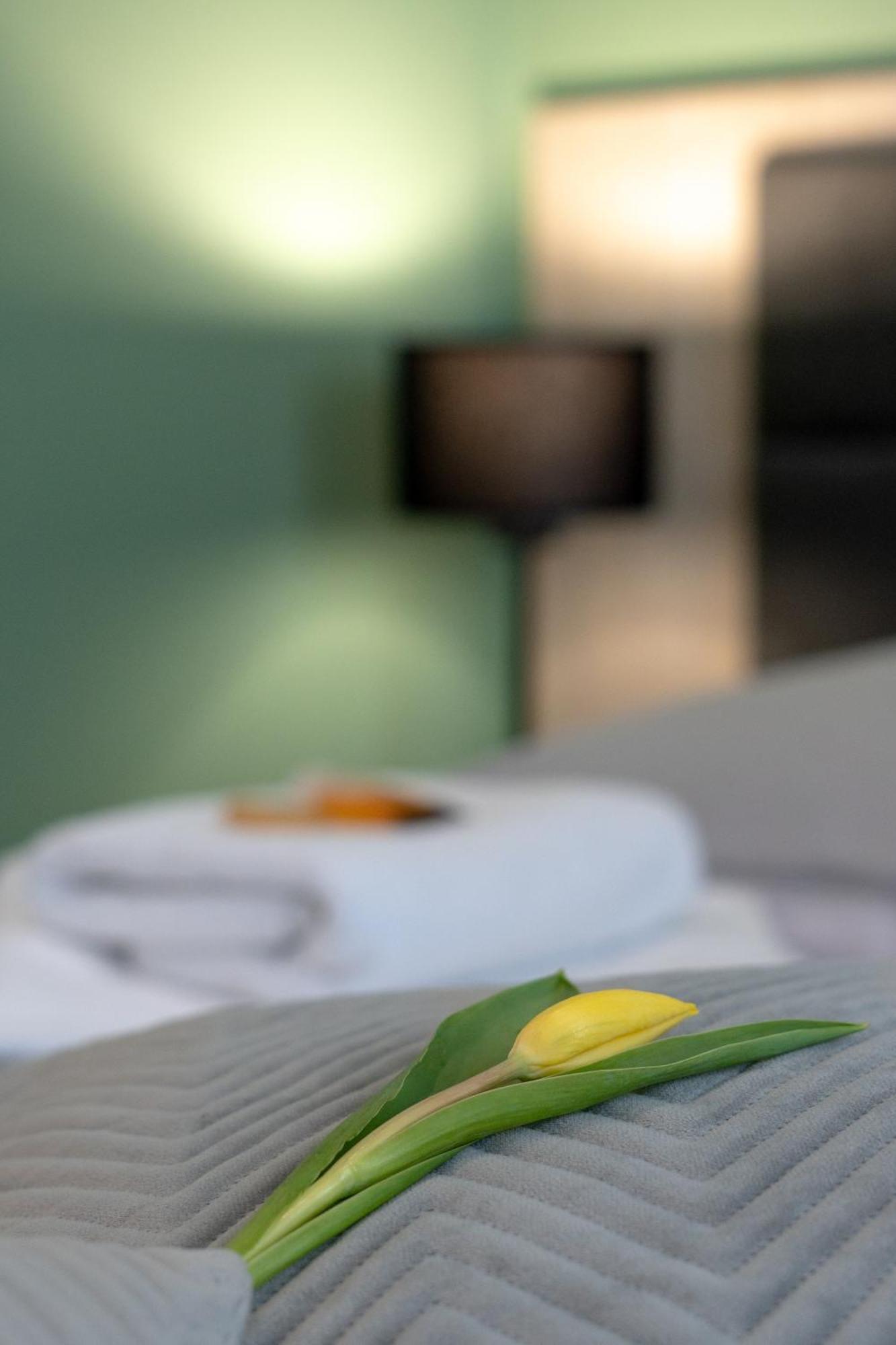 Hotel W Dobieszkowie Stryków Exteriér fotografie
